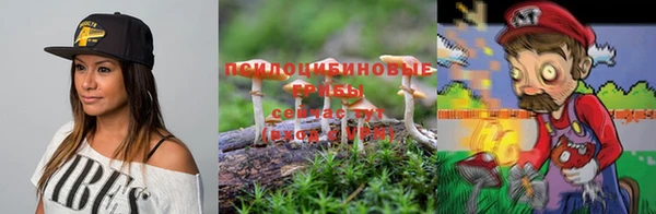 скорость Кукмор