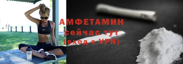 стаф Кулебаки