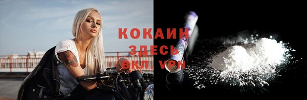 стаф Кулебаки