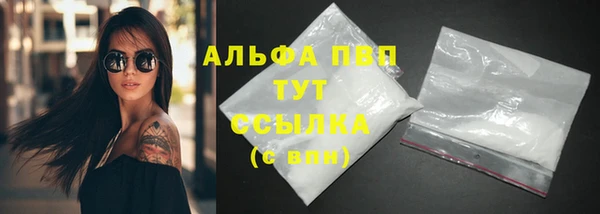 стаф Кулебаки