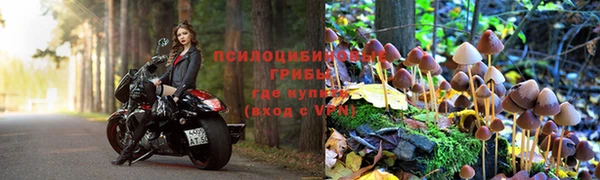 стаф Кулебаки