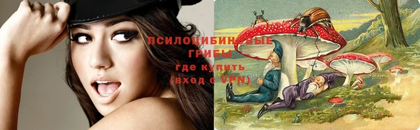 скорость Кукмор