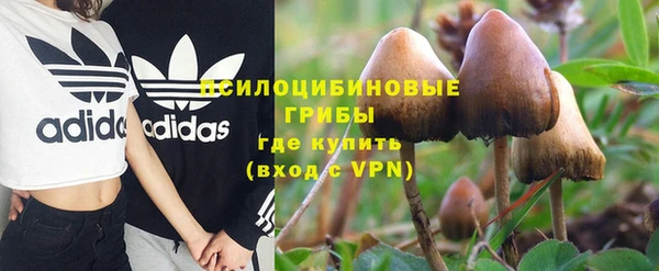 скорость Кукмор