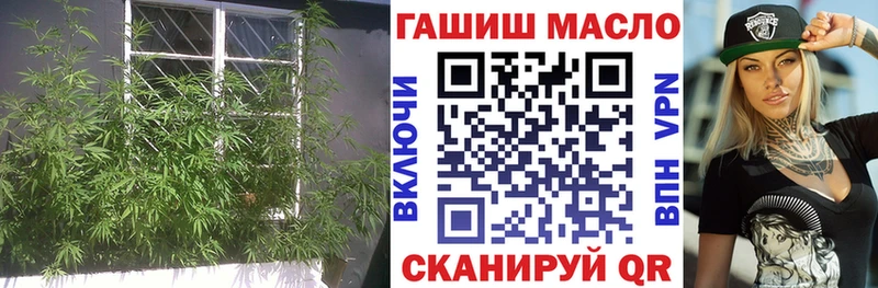 Купить закладки  Куровское  ТГК жижа 