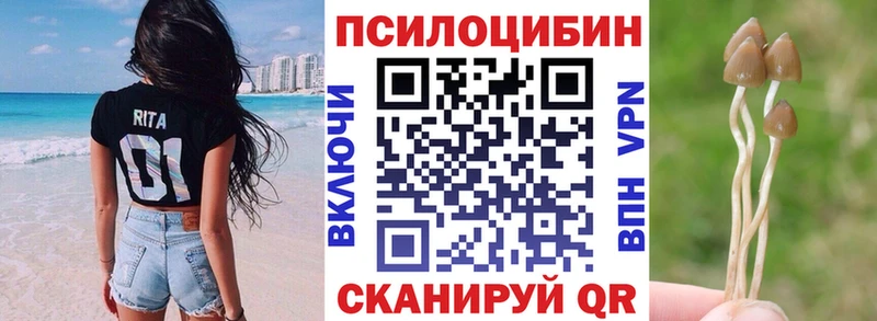 Галлюциногенные грибы GOLDEN TEACHER  Купить закладки  Куровское 